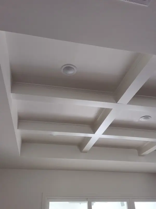 Professional House Painter